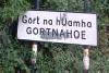visit our ancestral home!